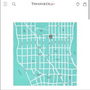 Tiffany & Co Silk Scarf
